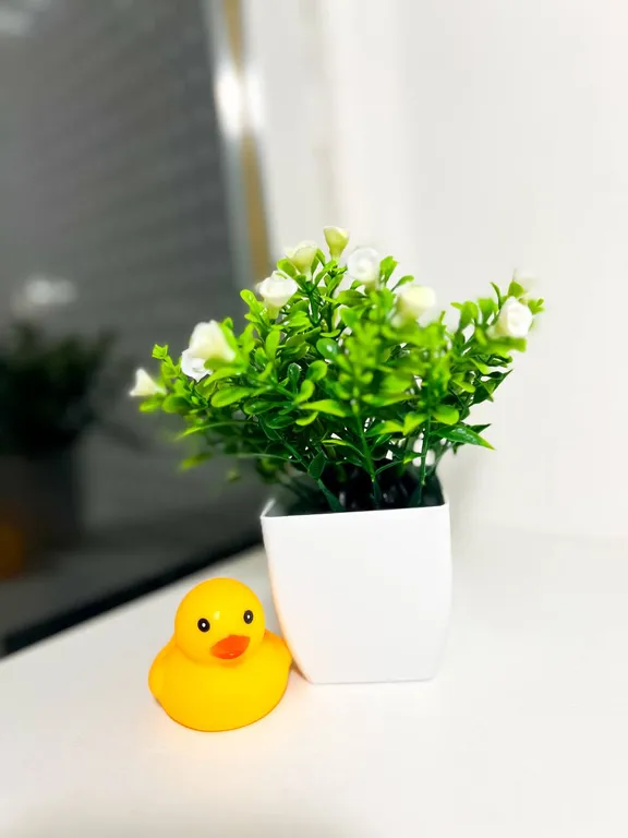 Квартира-студия у метро Девяткино для теплых вечеров