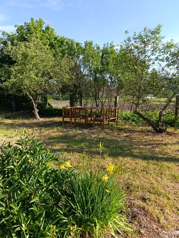 Уютный дом в Пушкиногорье