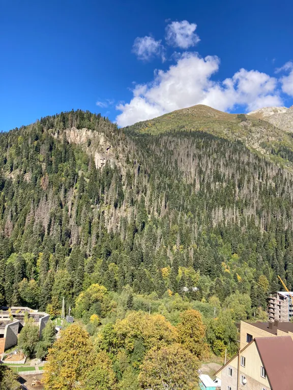 Уютная студия, в центре Домбая, в двух минутах от канатной дороги