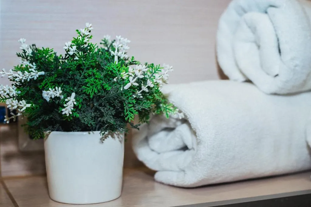 Квартира Квартира Apartments malina park 2 — Светлогорск