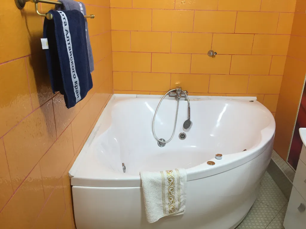 Квартира 1-комнатная квартира с кондиционером и джакузи с дизайнерским ремонтом — Барнаул