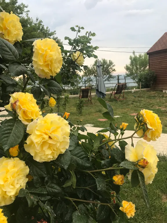 Квартира Квартира Номер с видом на море — Севастополь
