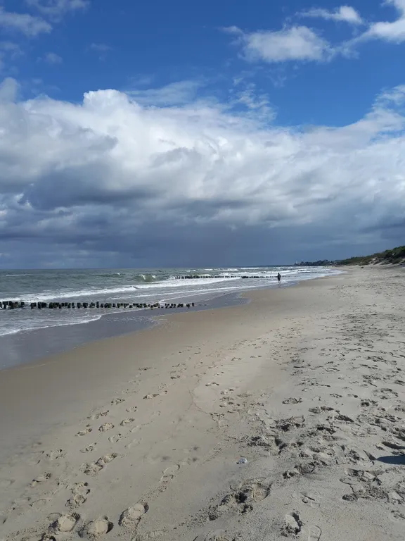 Коттедж Дом на берегу Балтийского моря — Сокольники