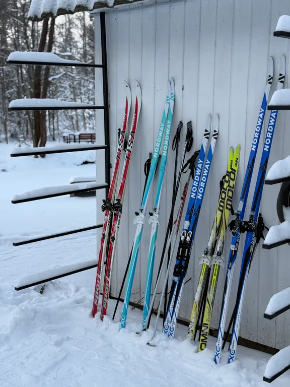 Коттедж Дом на Вуоксе — Беличье