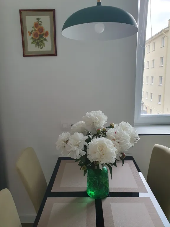 Апартаменты в центре у автовокзала