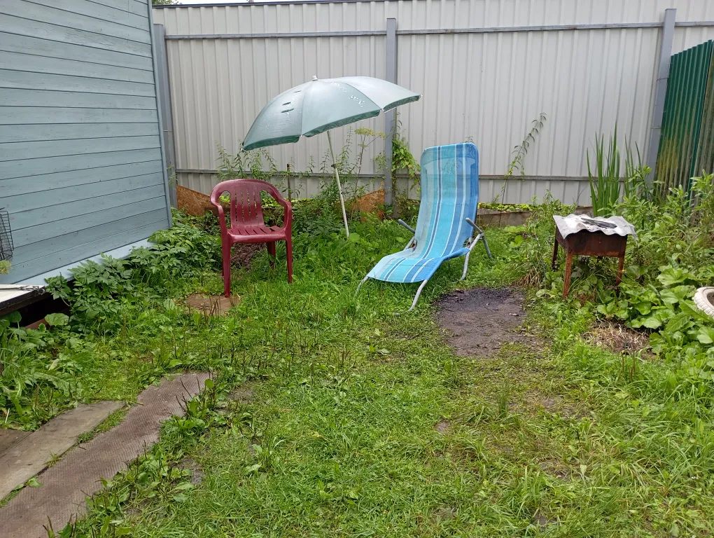 Домики у леса