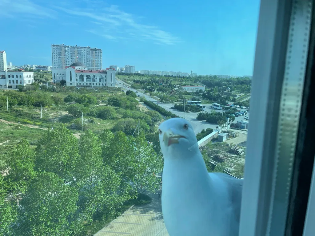 Квартира Уютный апартаменты-студия — Севастополь