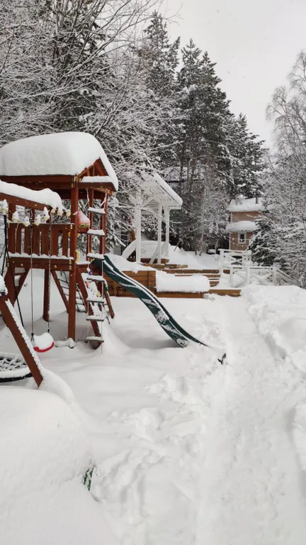 Дом сканди с камином с видом на озеро