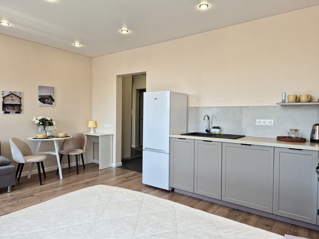 Просторная квартира-студия в Летнем