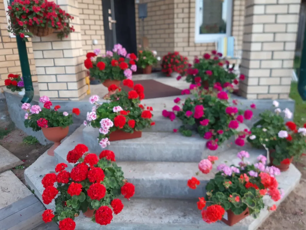 Дом для семейного отдыха