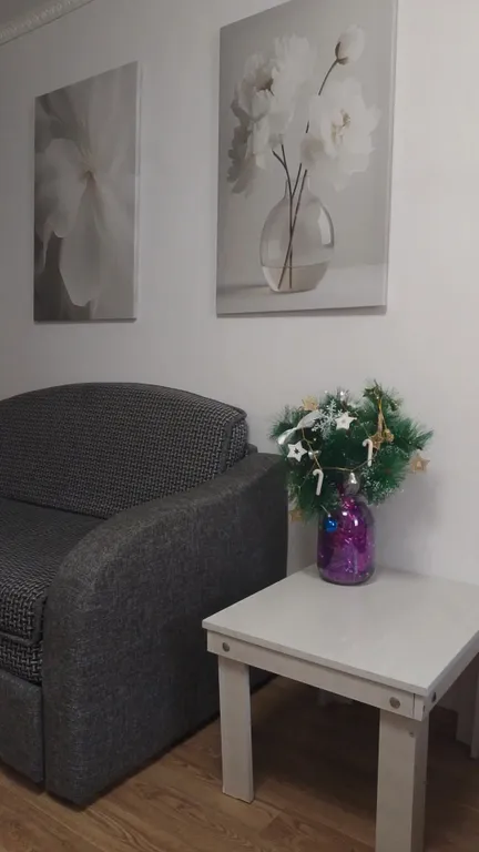 Чистая квартира с новым ремонтом