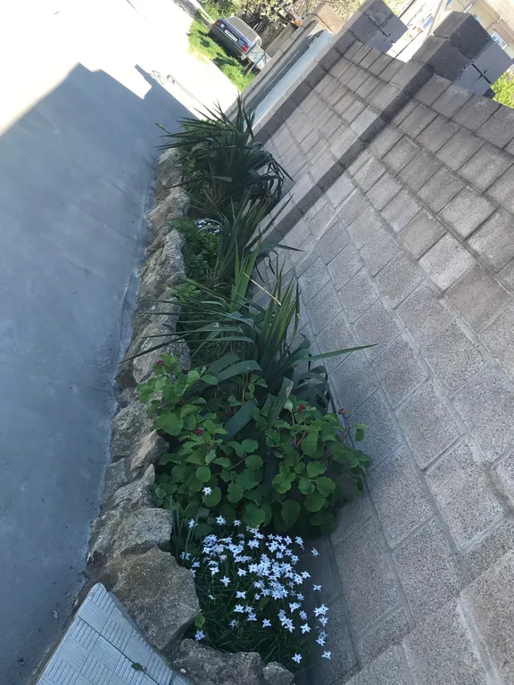 Коттедж Дом с видом на море для семейного отдыха — Севастополь