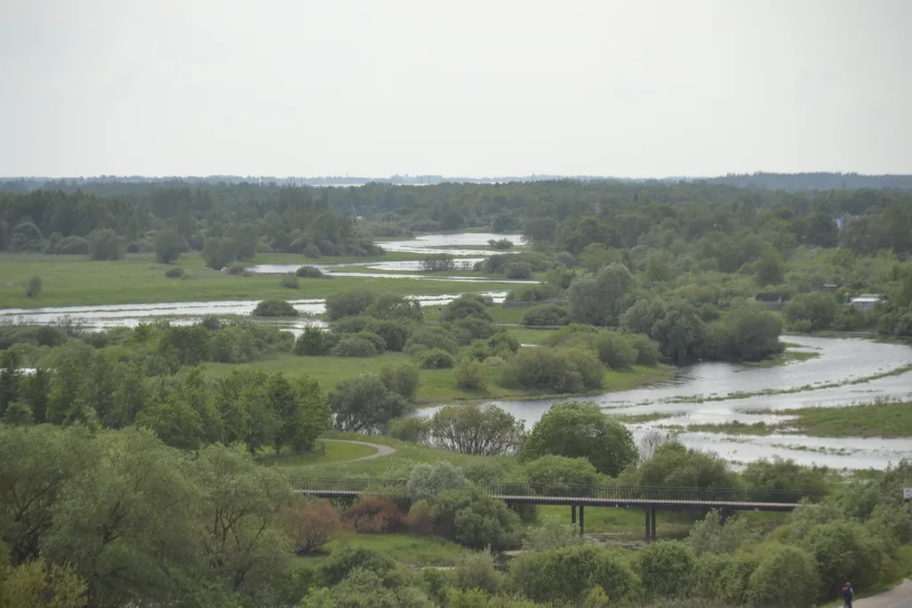 Красивые апартаменты с  видом из окна