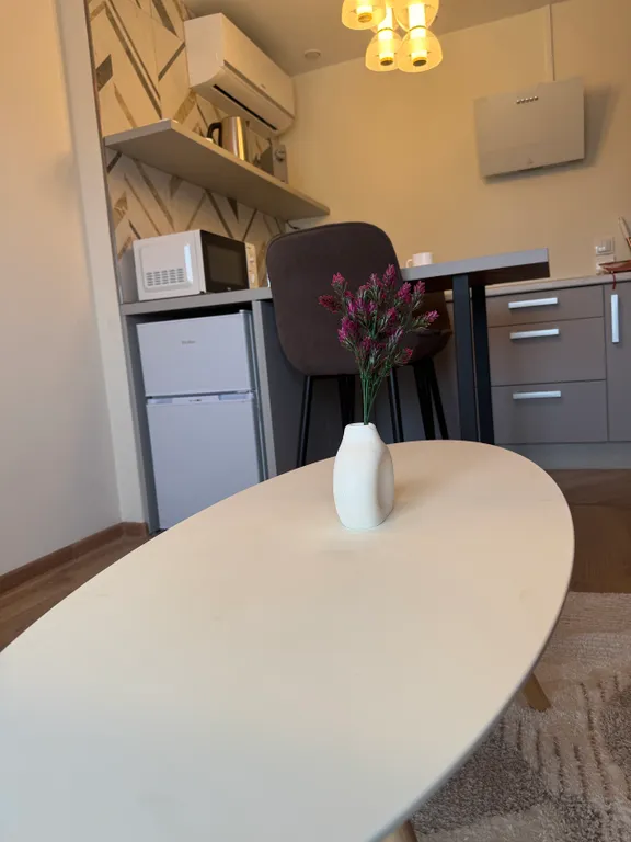 Апартаменты мансарда