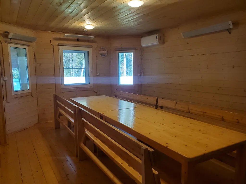 Загородный коттедж у леса