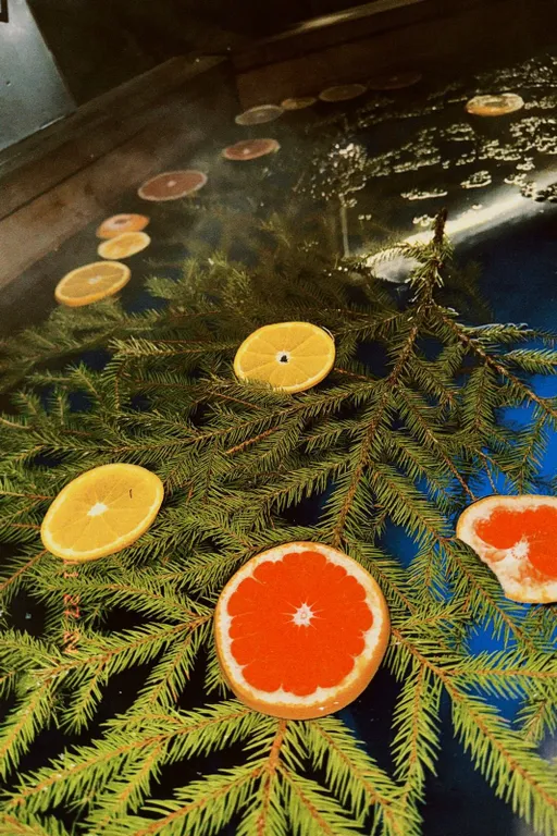 Уютный дом с панорамным видом на лес