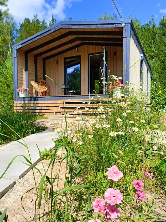 Светлый домик на опушке леса