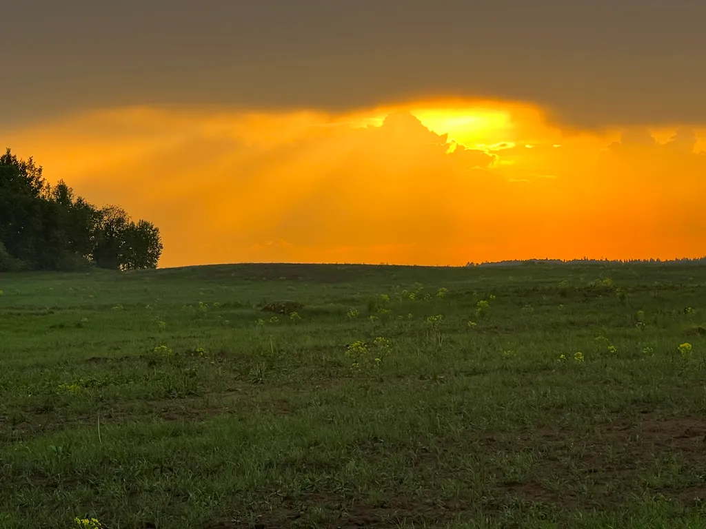 Модолицы хаус