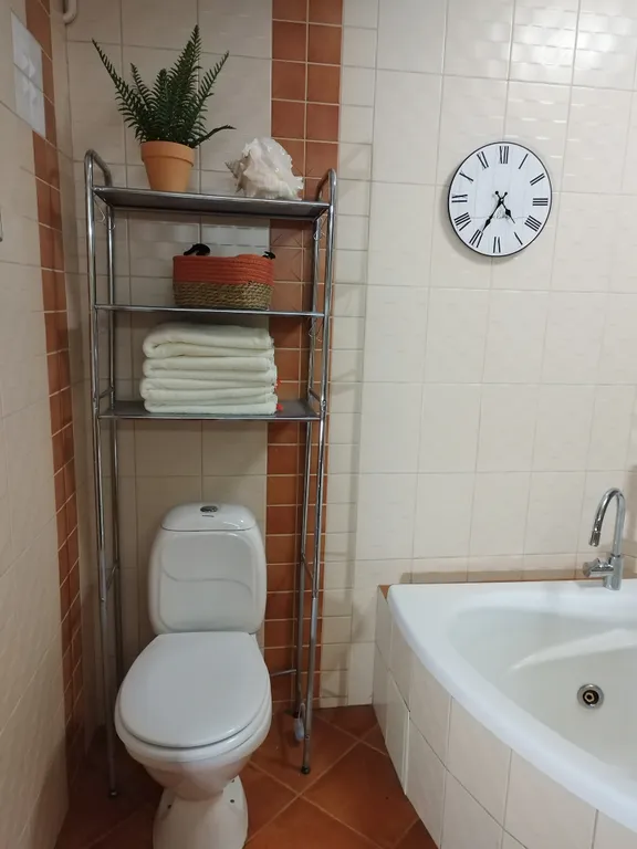 Квартира Атмосферная квартира в центральной части города — Санкт-Петербург