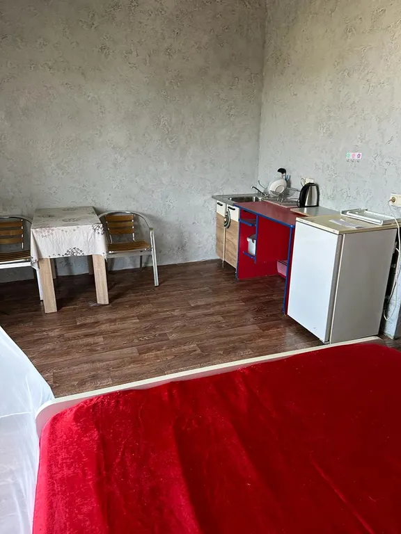 Студия в тихом районе, без комиссии, без животных