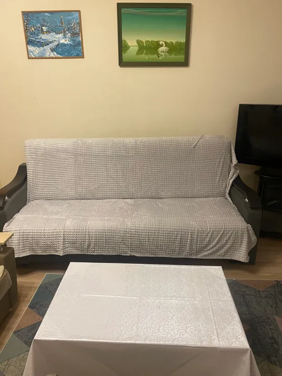 Уютная квартира в центре города — аренда посуточно в Петрозаводск