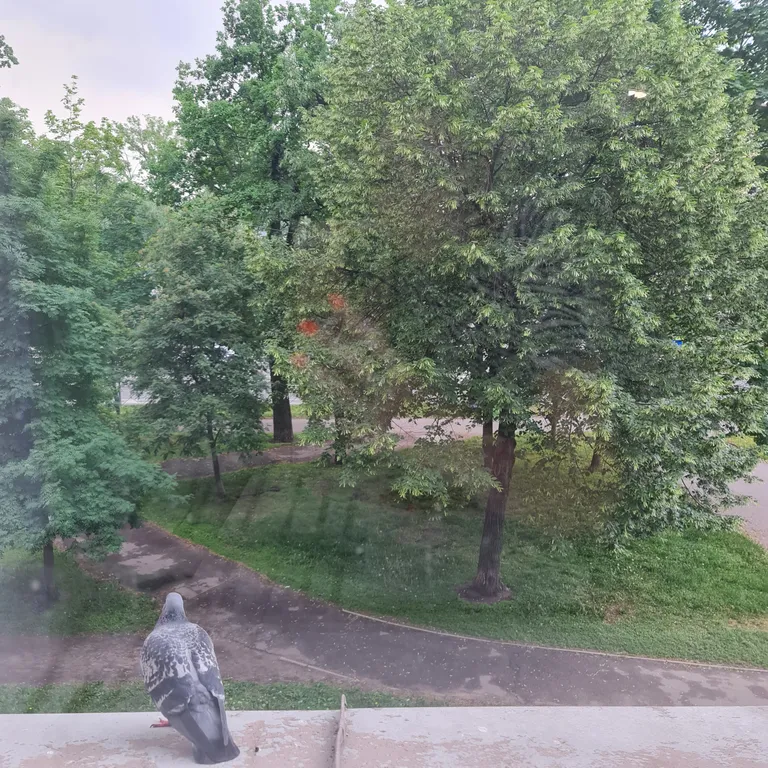 Квартира Квартира Уютная студия рядом с клиникой Пирогова — Санкт-Петербург