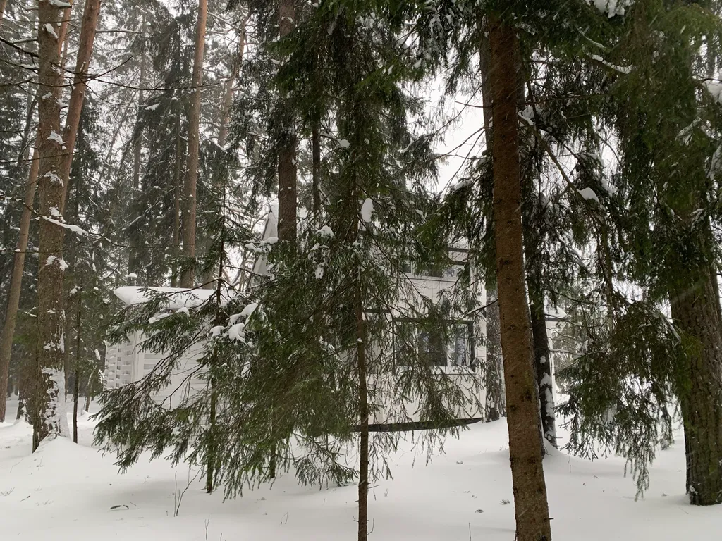 Красная Матрешка - глэмпинг в лесу