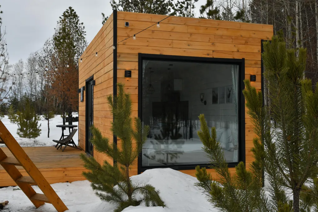 Двухместный 1 домик в лесу