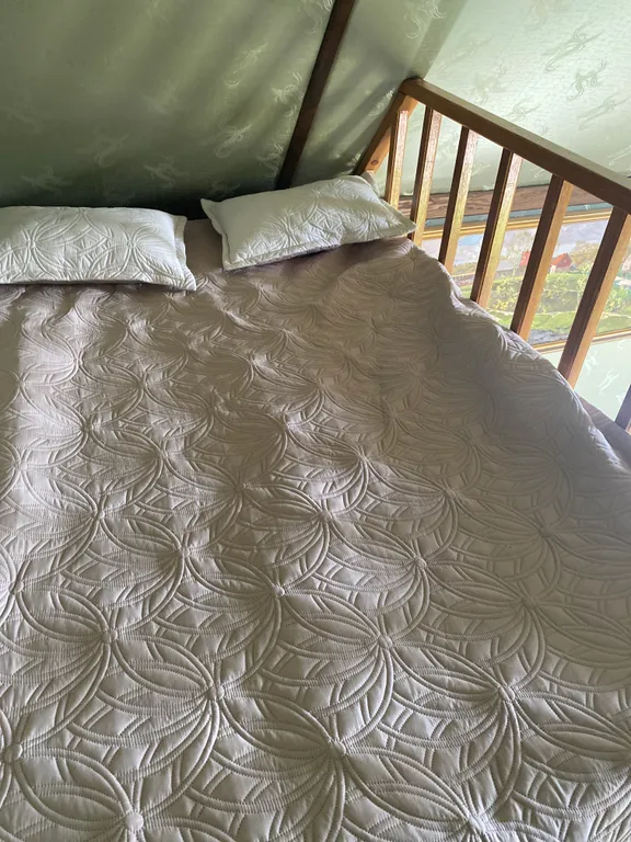 Зелёный дом