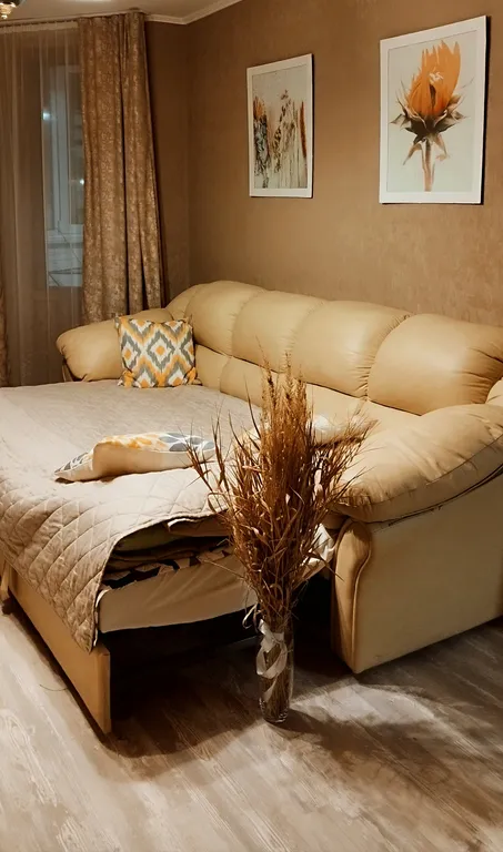 Уютная однокомнатная квартира