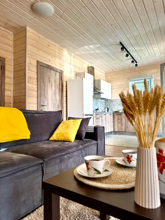 Коттедж Уютный загородный дом с сауной - отдых вашей мечты — Борисово