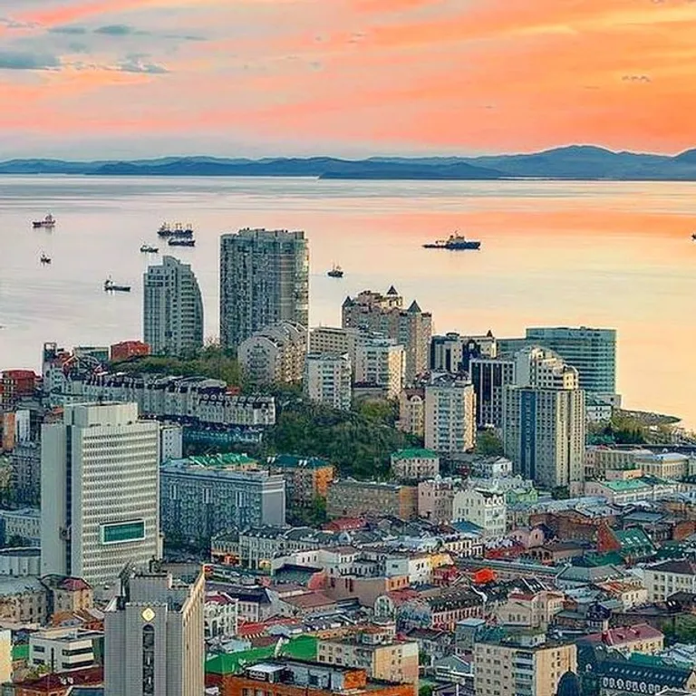 Тигровая новая