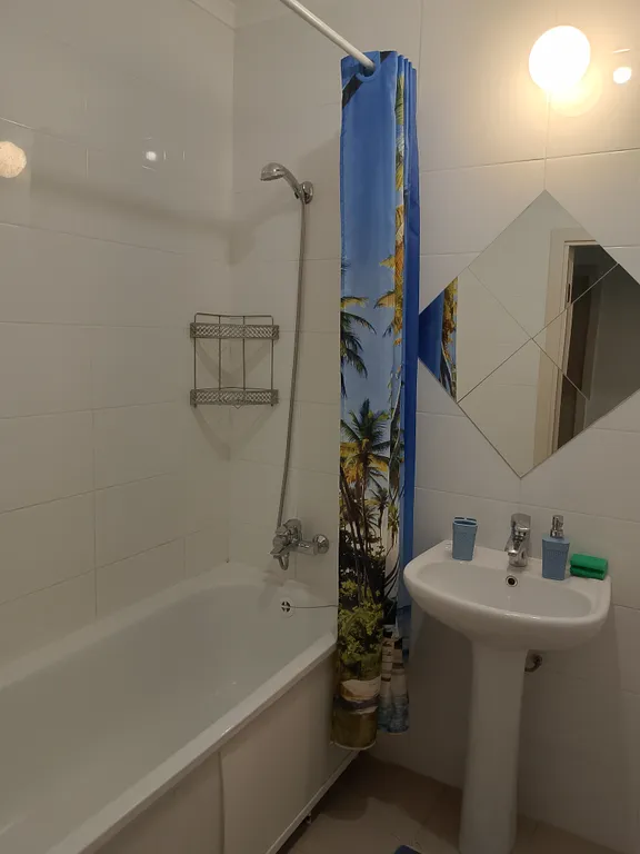 Большая однокомнатная квартира недалёко от метро потапово