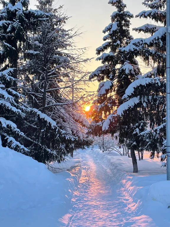 Коттедж Дом в яблоневом саду — аренда посуточно в Лаишево