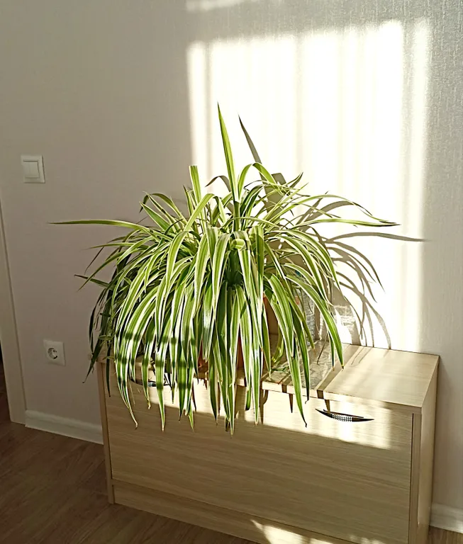 Квартира Уютная квартира с видом на горы в тихом месте в центральном районе — Горячий Ключ