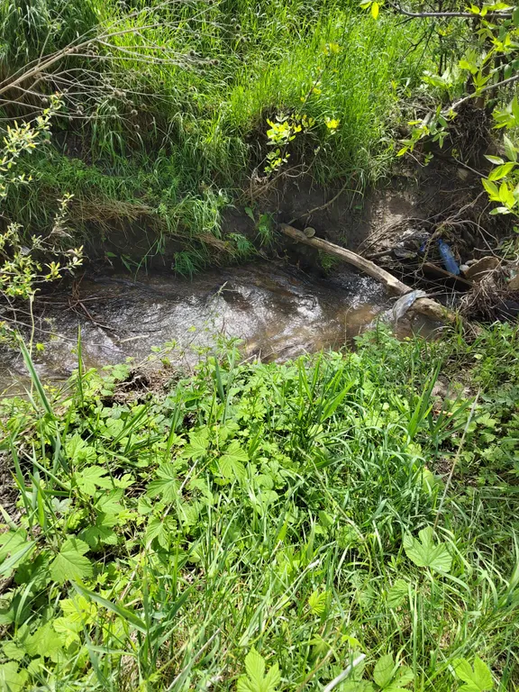 Коттедж Уютный домик с баней и большой территорией — Винсады