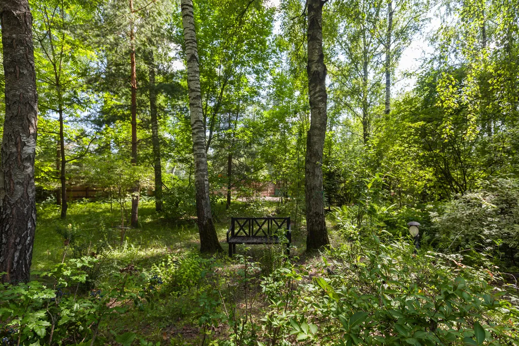 Загородный дом с бассейном, сауной и собственным лесом на участке