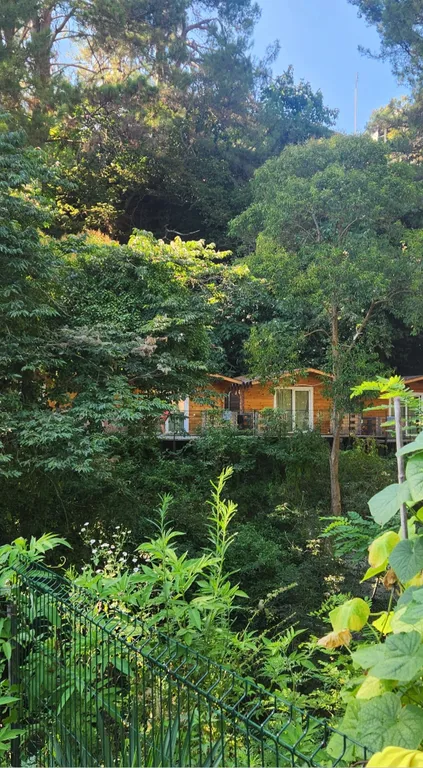 Домики на берегу моря