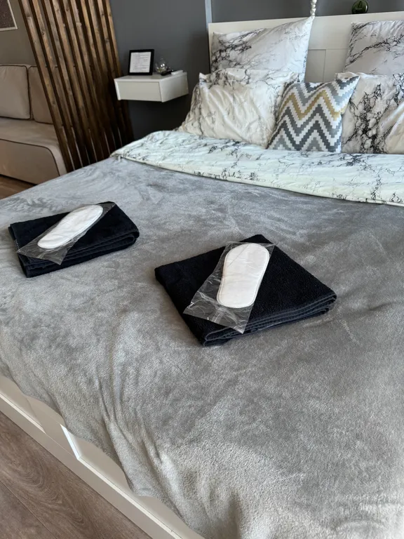 Студия в голландском квартале