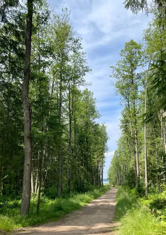 Коттедж Уютный дом для комфортного отдыха — Четверяково