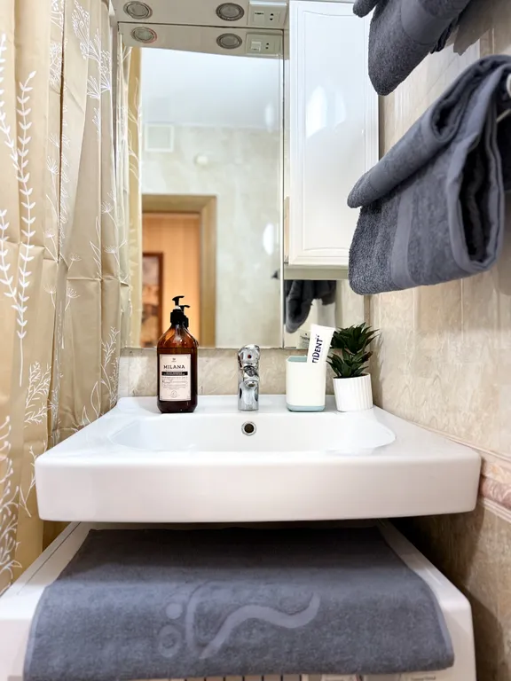 Большая квартира у Крокус ЭКСПО