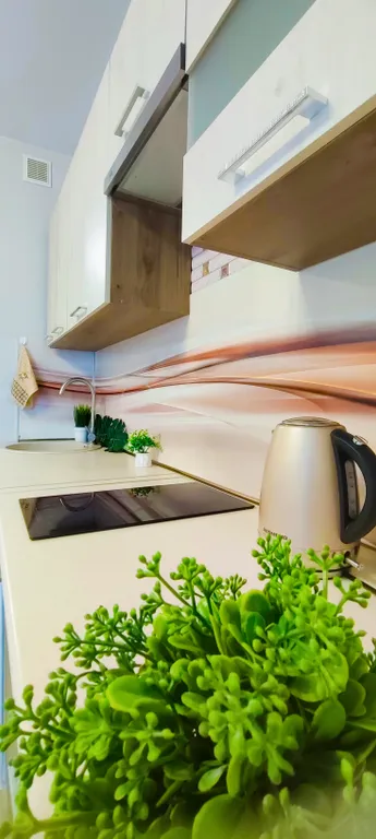 Студия с бассейнами рядом с Кипарисовым озером