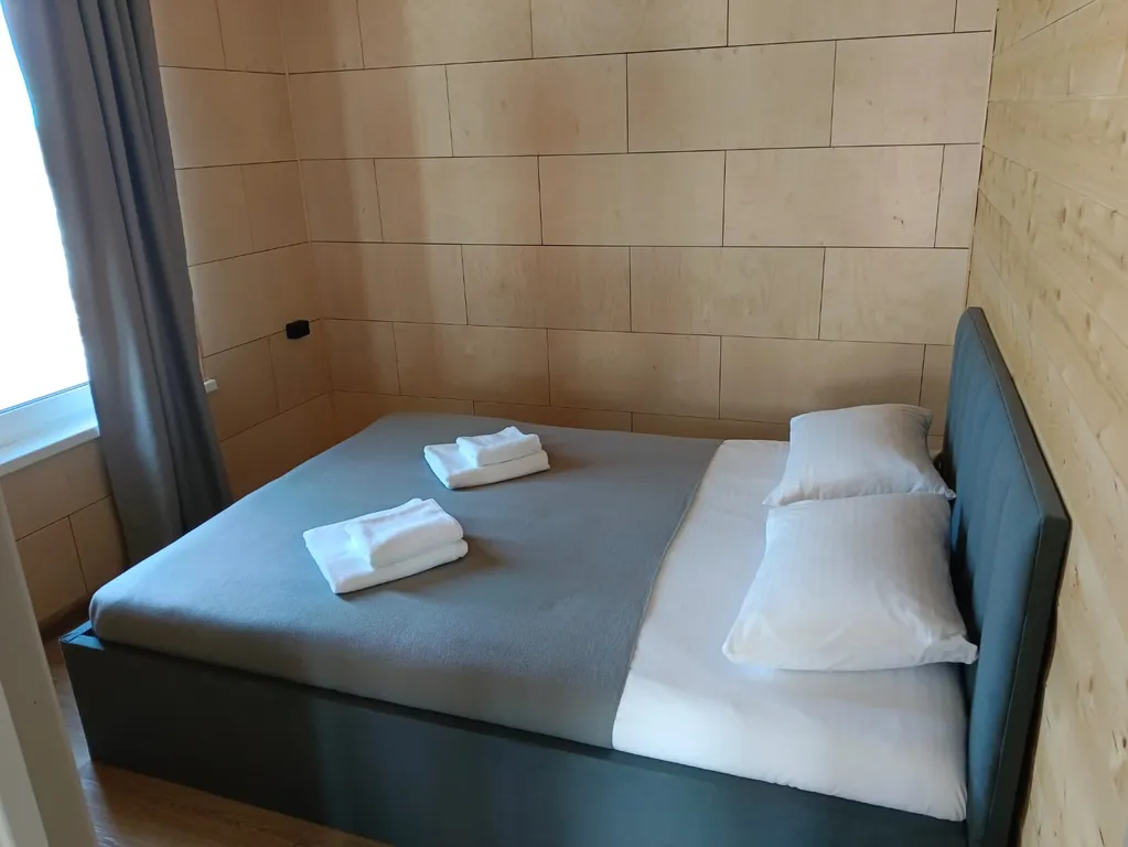 Виноградная лоза