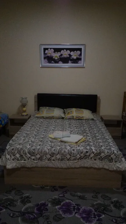 Квартира Комната — аренда посуточно в Николаевка