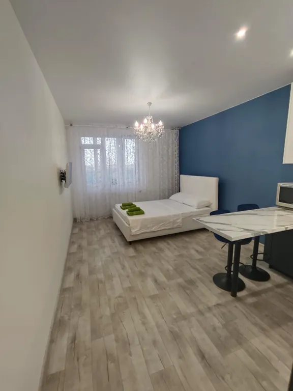 Уютная студия в Старой Купавне