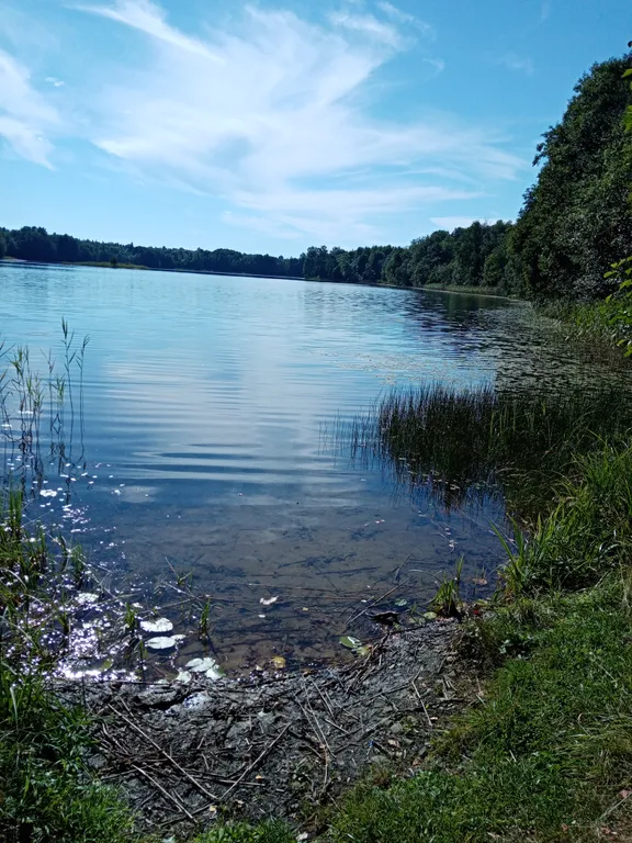 Эко дом Lavstep