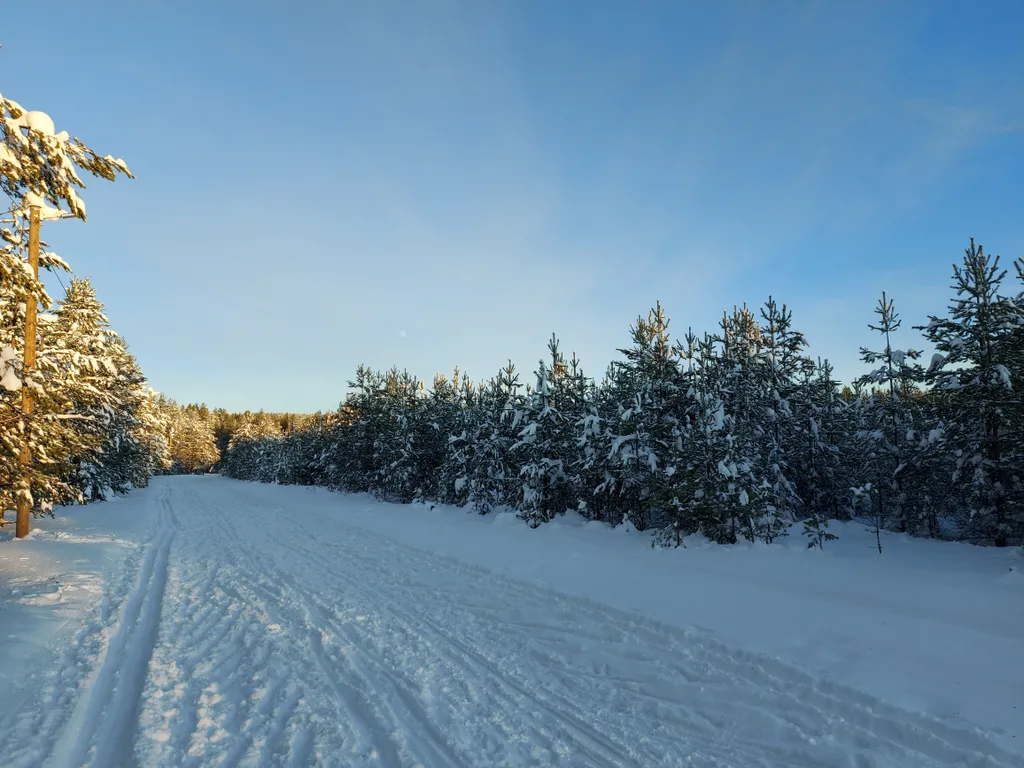 Квартира в тихом районе