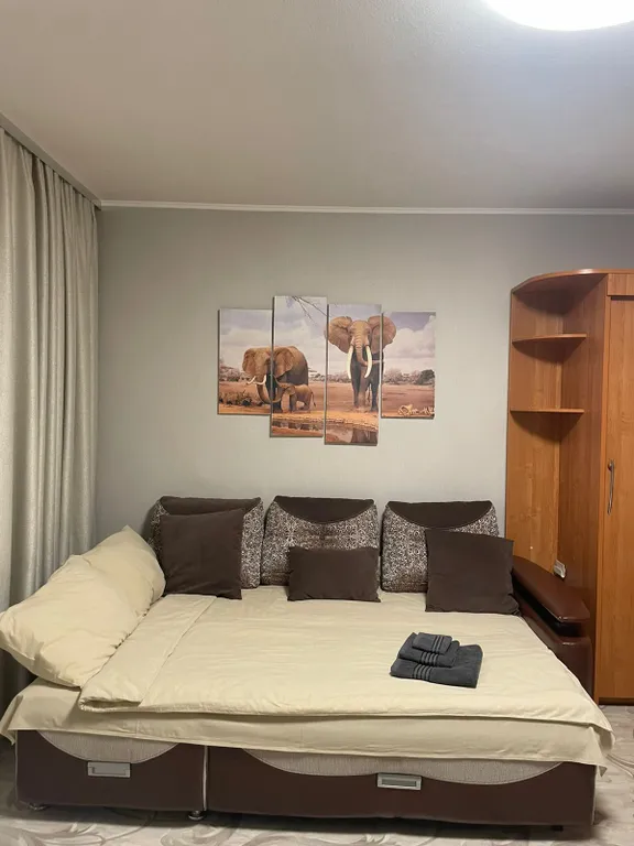 Уютная однокомнатная квартира