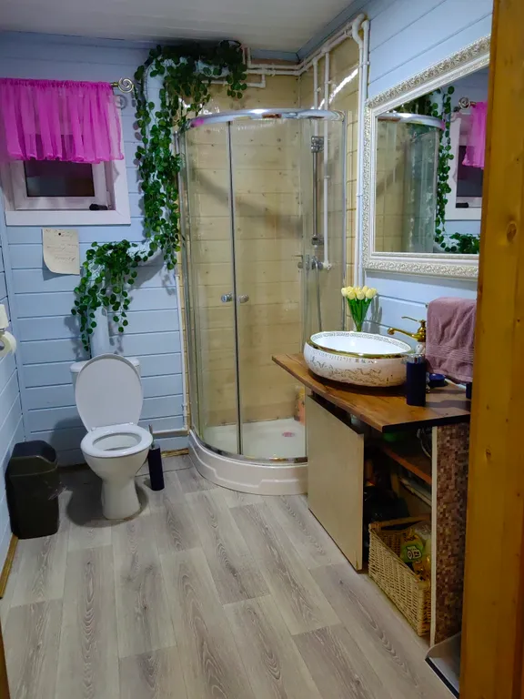 Дом у Светланы Алешиной