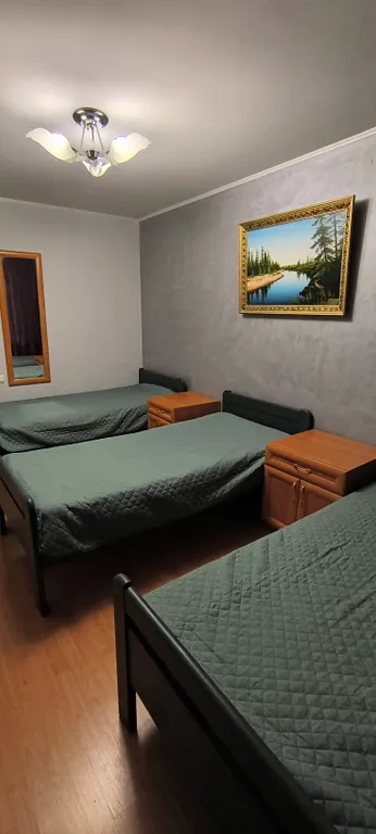 Трёхкомнатная квартира возле Звездного